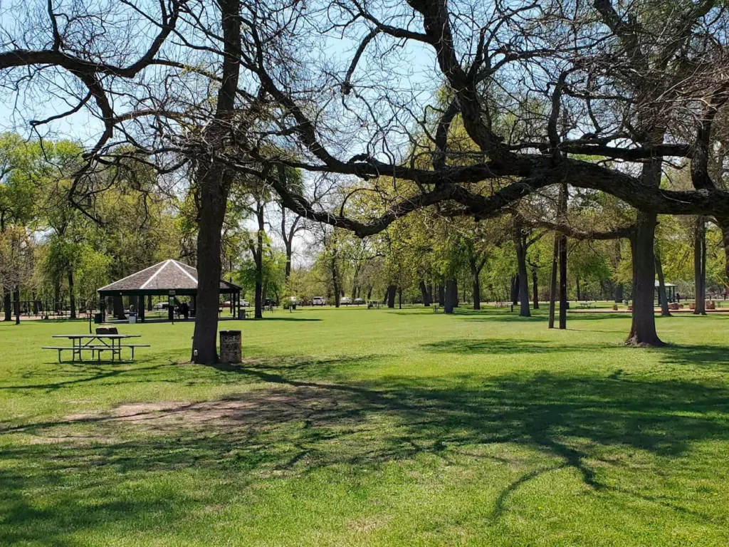 Large oak trees and a pavilion in a local park