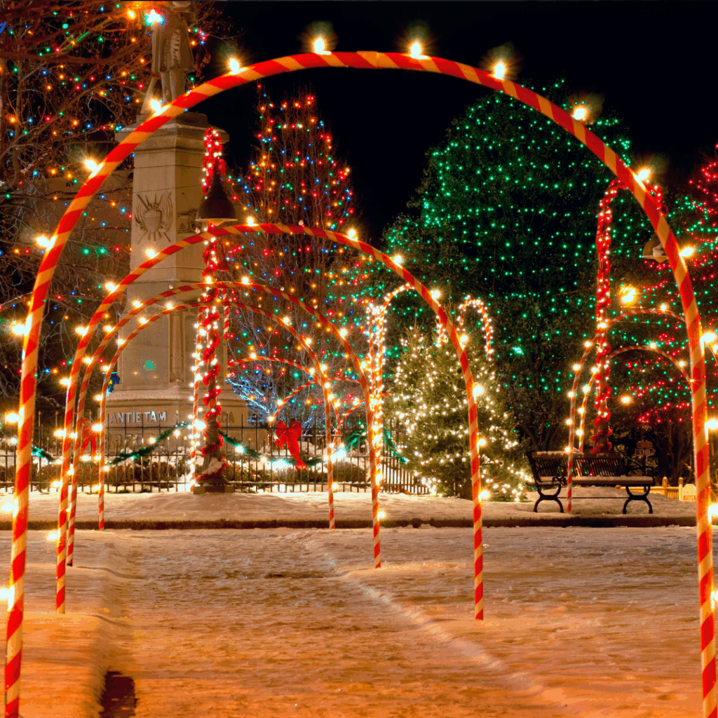 Lighted Christmas arches and trees at a holiday light display